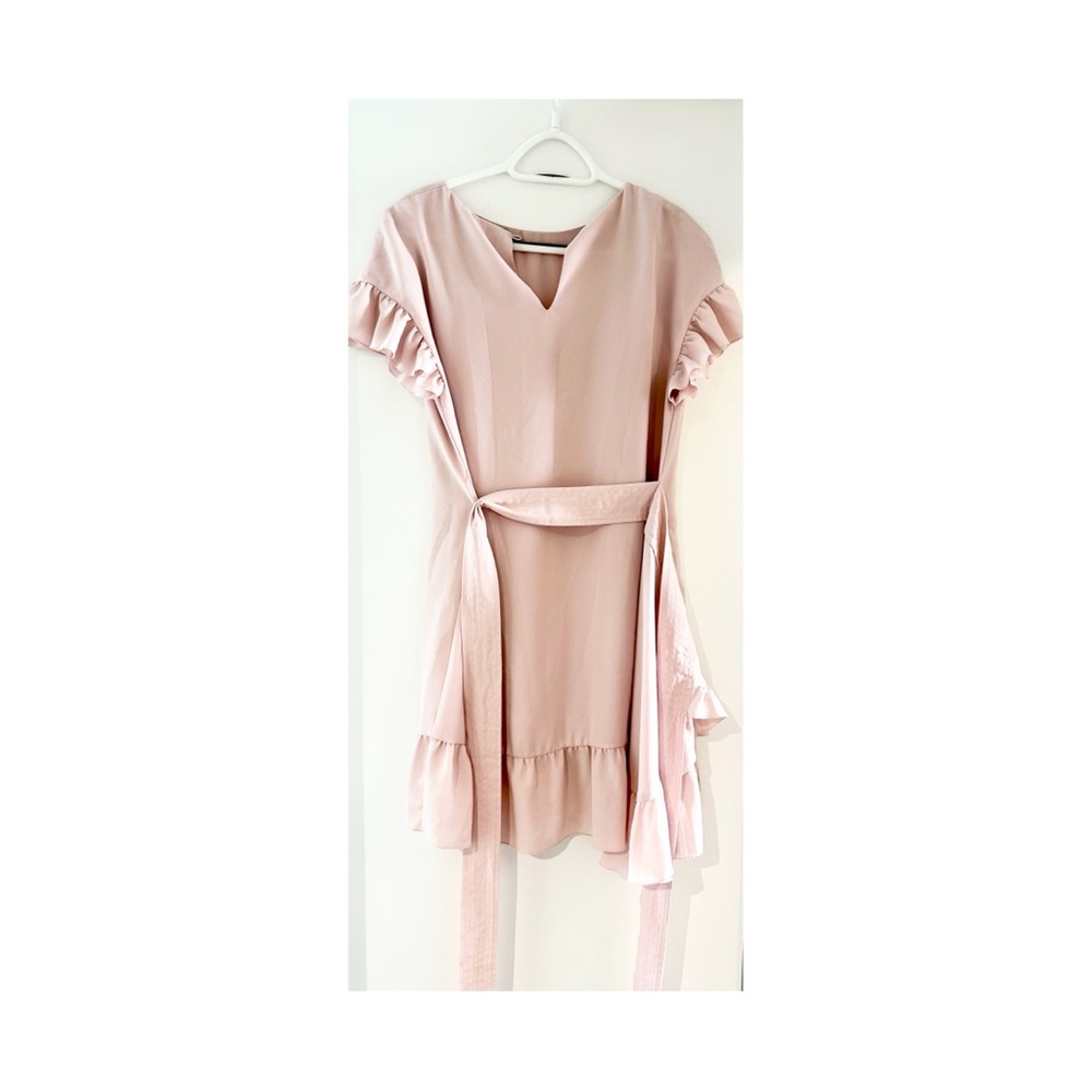 Blush Pink Wilfred Dress - Picture 3 of 5